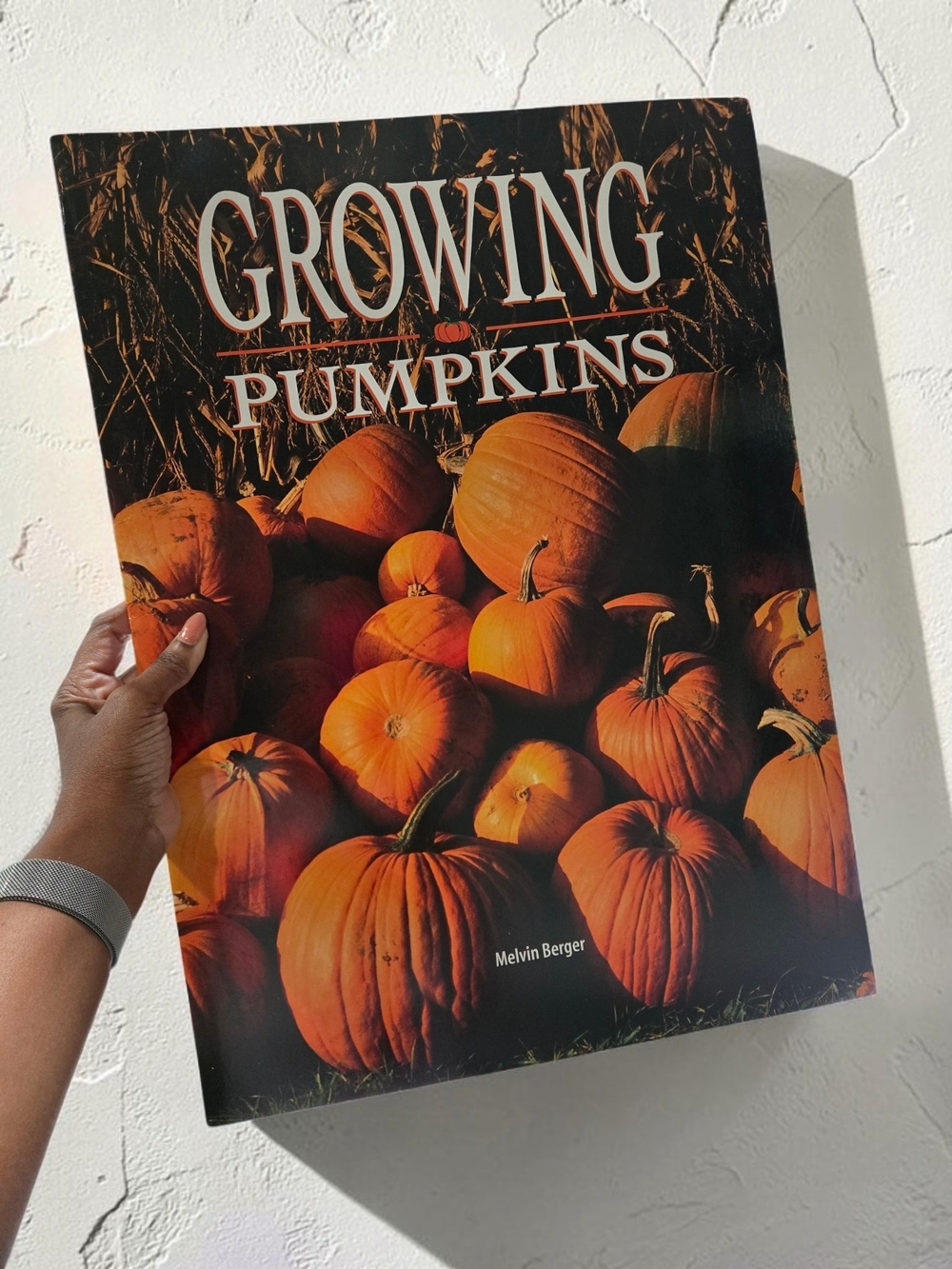 Vintage Growing Pumpkins Big Book Melvin Berger Newbridge Science Easel Oversize